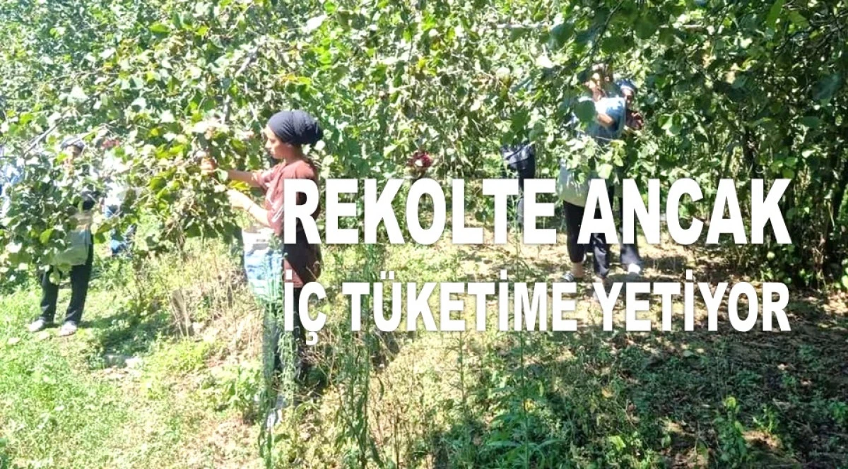 'FİYATIN 340 TL'DEN DÜŞMESİNİN ARKASINDA FERRERO VAR'