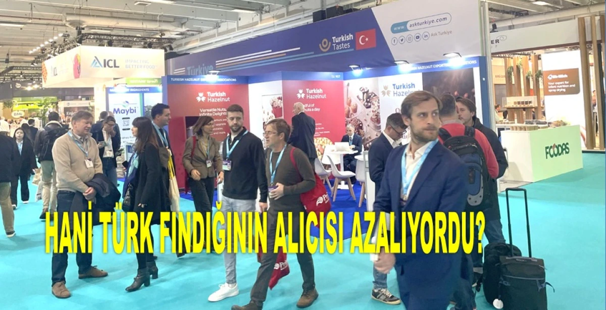 FRANSA’DA TÜRK FINDIĞINA YOĞUN İLGİ