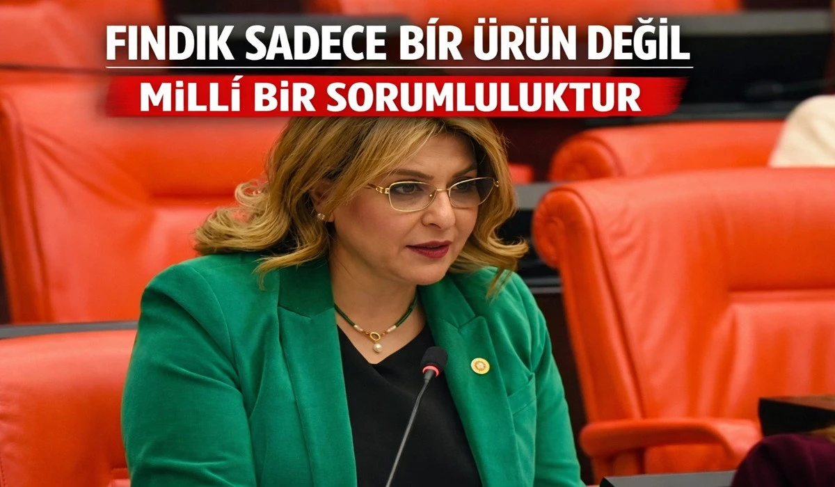 Gezmiş Ses Yükseltti: Üretici Mağdur, Fındık Sahipsiz!