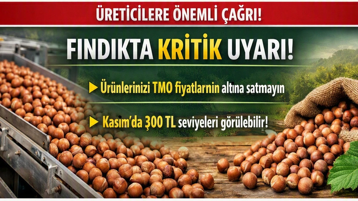 'Gram Satmayın; Fındık Kasım'da 300 TL Olabilir'