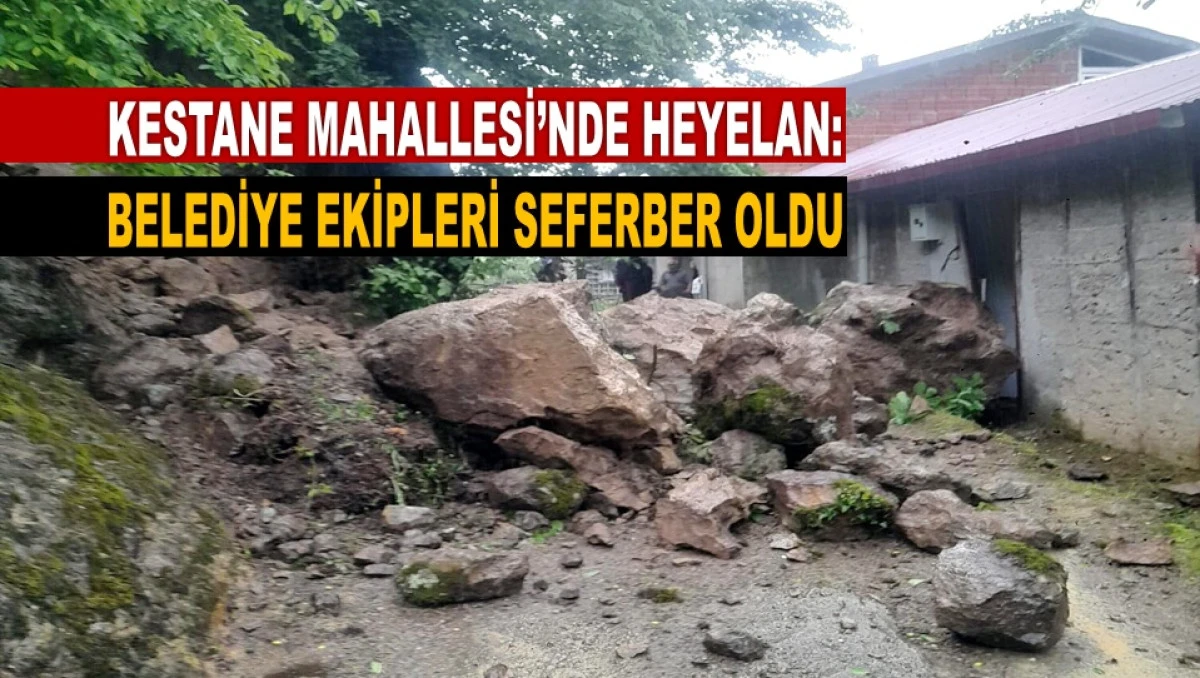 G&uuml;lyalı&rsquo;da Heyelan Alarmı: Can Kaybı Olmaması Sevindirdi