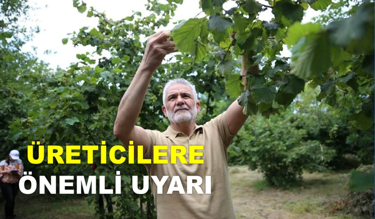 HAK KAYBI YAŞAMAMAK İÇİN SON TARİH 15 TEMMUZ