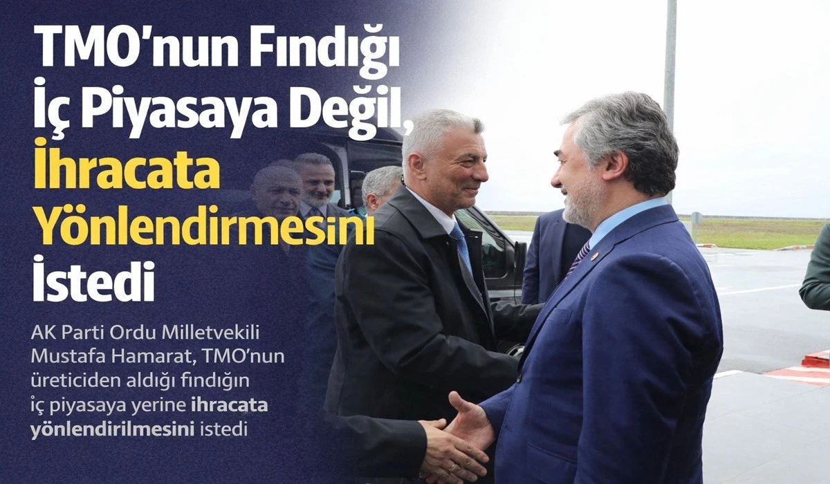 Hamarat'tan Bolat'a: TMO Aldığı Fındığı İhra&ccedil; Etsin