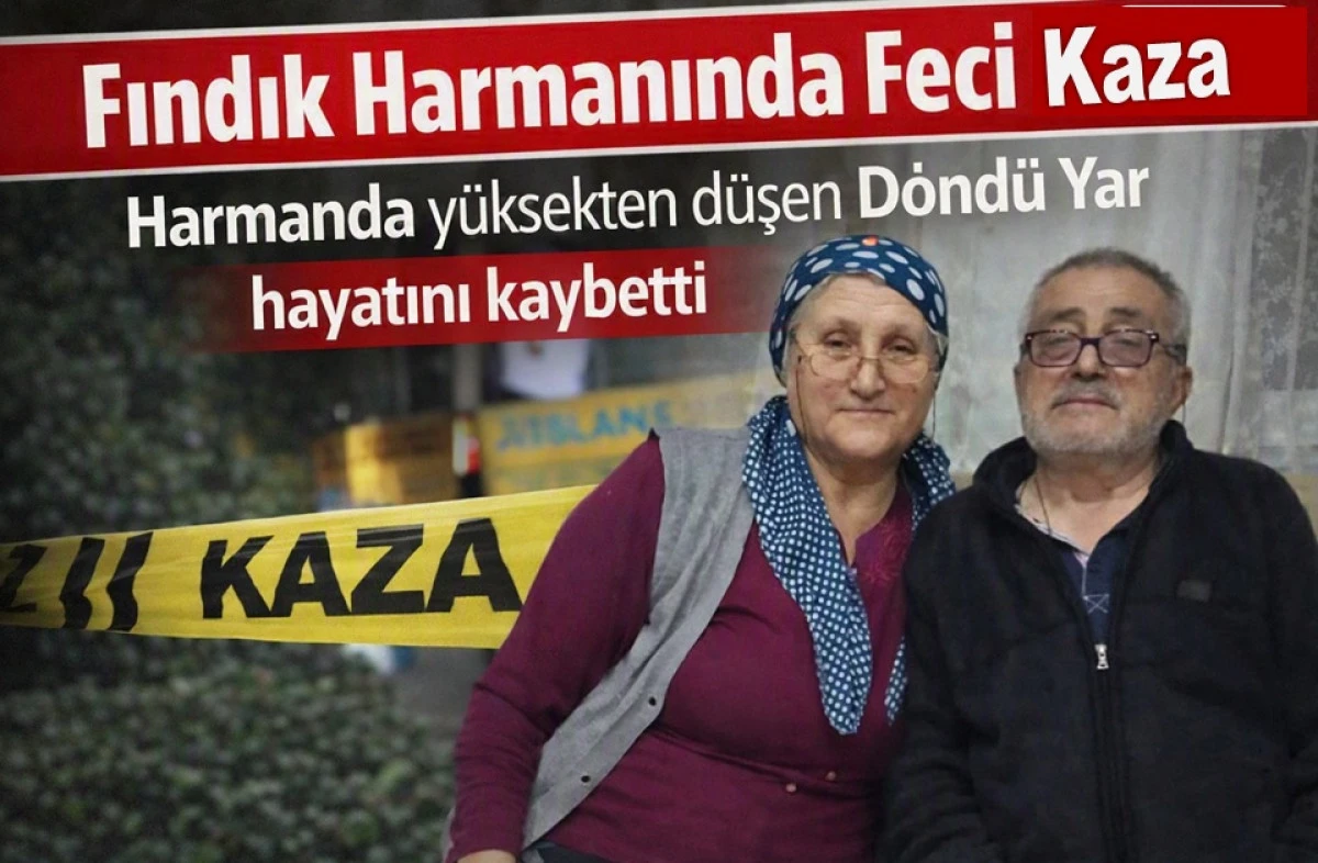 Harmanda D&uuml;şen D&ouml;nd&uuml; Yar Hayatını Kaybetti