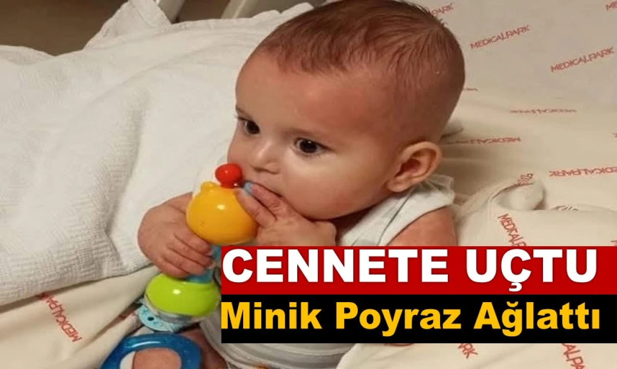Hayatını Kaybeden Minik Poyraz Ordu'yu Ağlattı!
