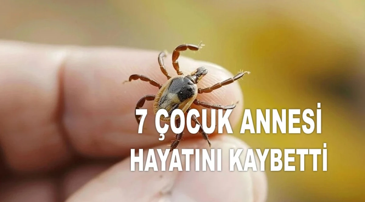 HAYATINI KAYBEDENLERİN SAYISI 8'E YÜKSELDİ