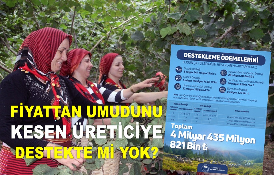 HERKESE DESTEKLEME VAR FINDIK ÜRETİCİSİNE YOK