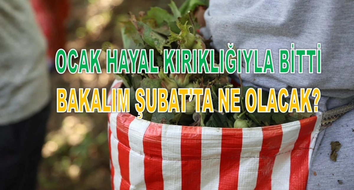 İşte Ordu'da 1 Şubat Pazar G&uuml;n&uuml; Fındık Fiyatı!