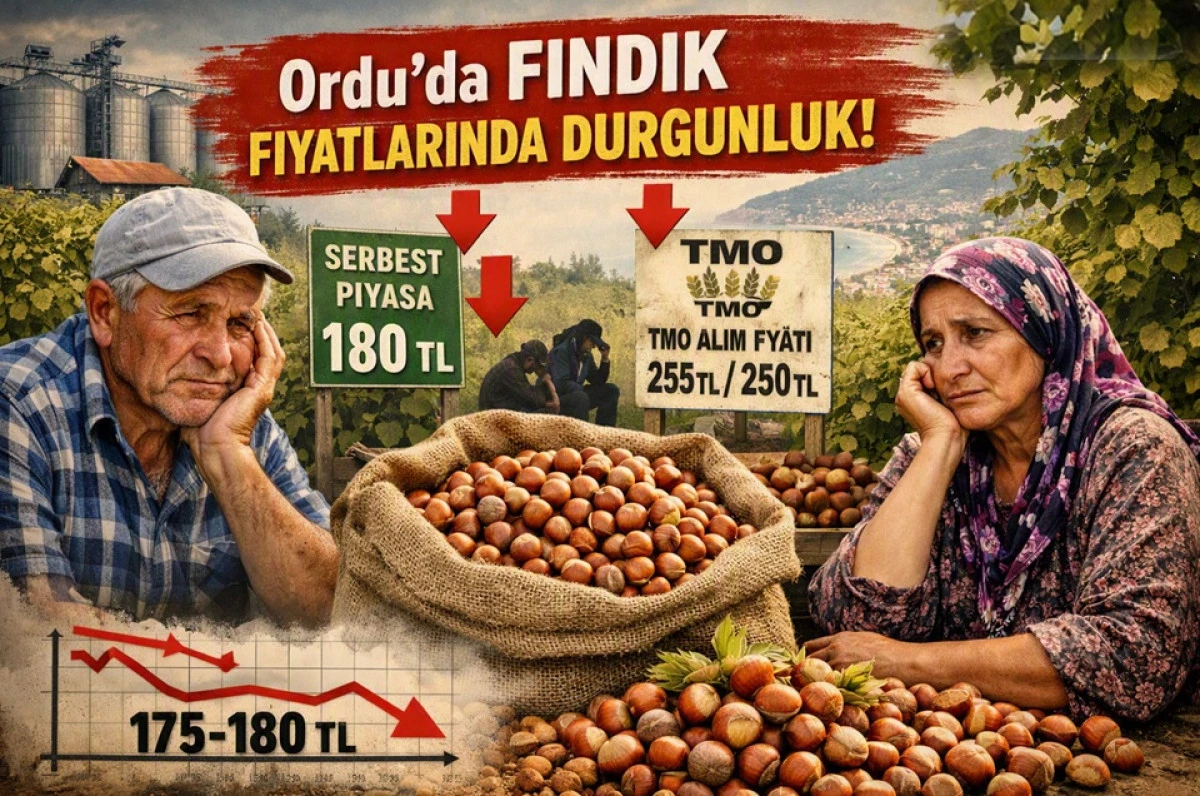 İşte Ordu'da 12 Eyl&uuml;l Cumartesi Fındık Fiyatı!