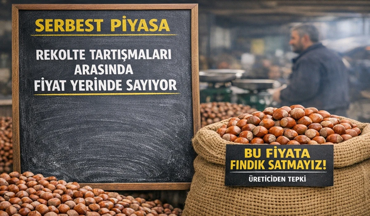 İşte Ordu'da 12 Mart Perşembe Fındık Fiyatı!
