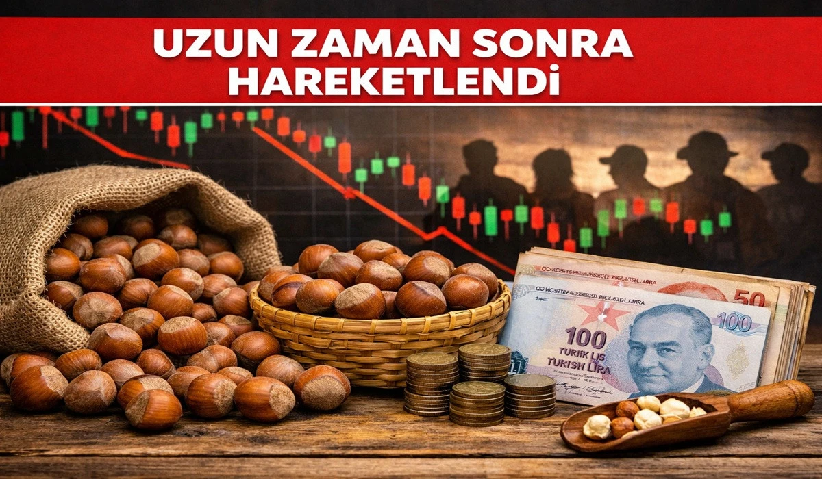 İşte Ordu'da 12 Mayıs Salı Fındık Fiyatı!