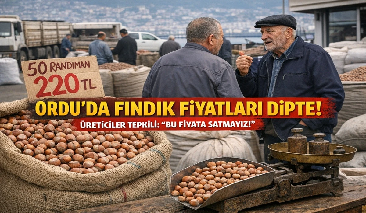 İşte Ordu'da 13 Mart Cuma G&uuml;n&uuml; Fındık Fiyatı!