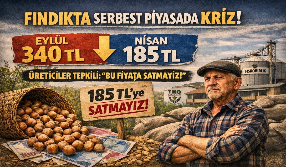İşte Ordu'da 14 Nisan Salı Fındık Fiyatı!