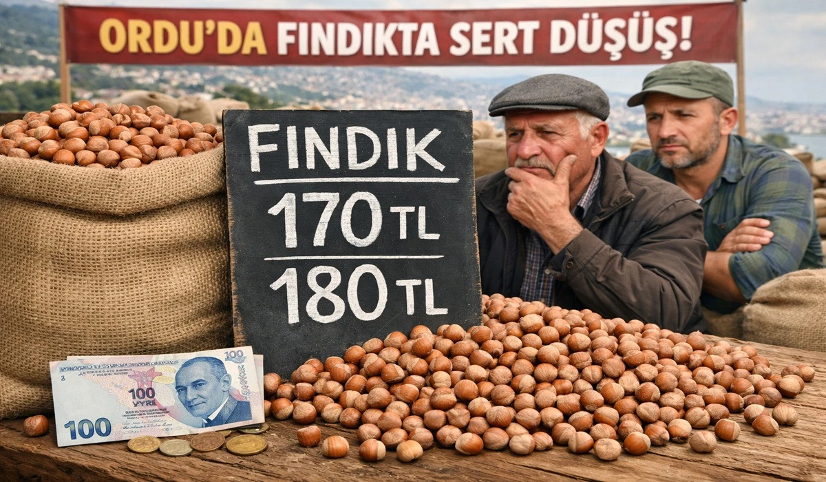 İşte Ordu'da 15 Haziran Pazartesi G&uuml;n&uuml; Fındık Fiyatı!