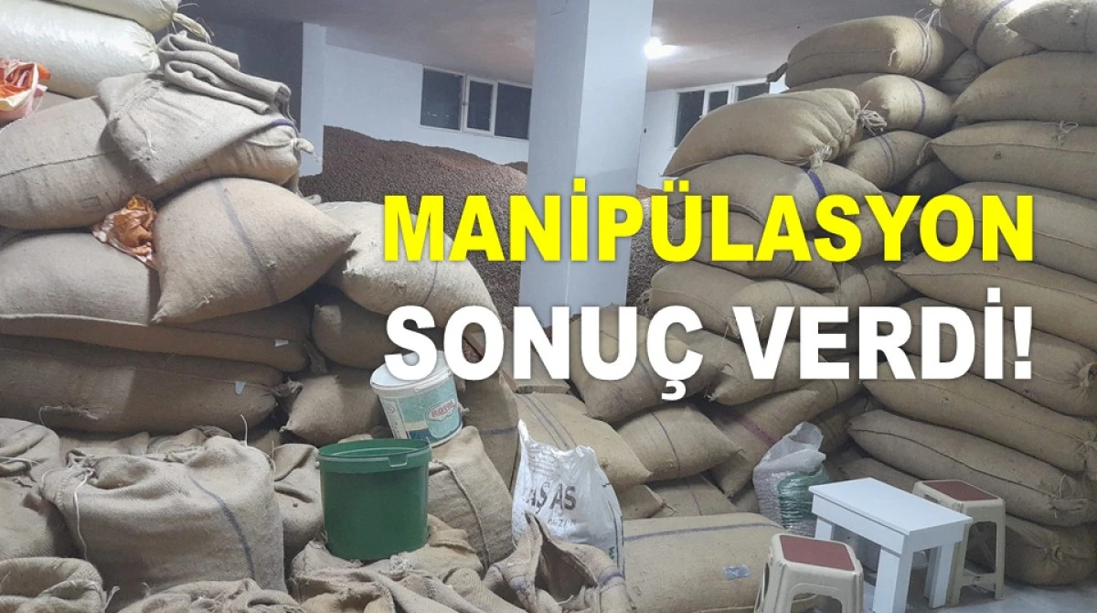 İŞTE ORDU'DA 16 MAYIS CUMA FINDIK FİYATI!