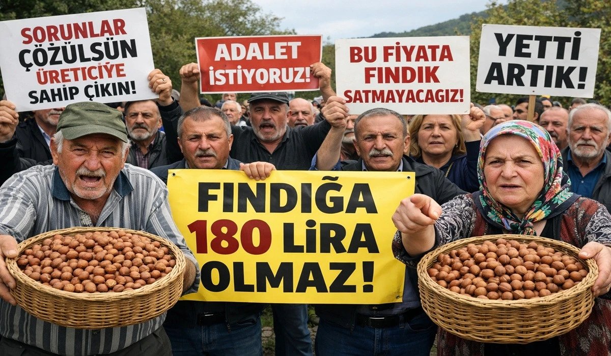 İşte Ordu'da 16 Mayıs Cumartesi Fındık Fiyatı!