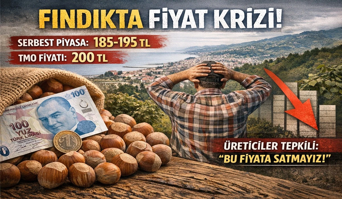İşte Ordu'da 17 Nisan Cuma Fındık Fiyatı! 