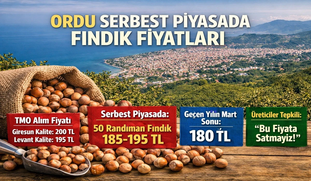 İşte Ordu'da 18 Mayıs Pazartesi Fındık Fiyatı!