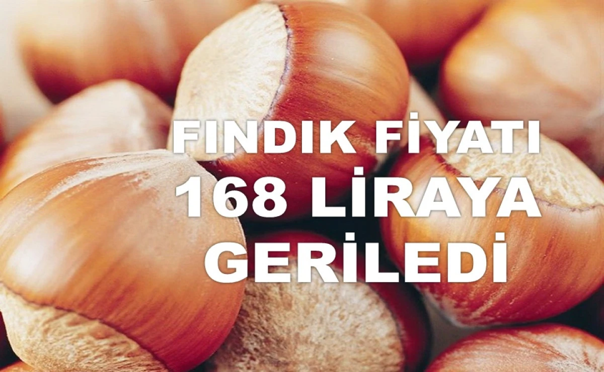 İŞTE ORDU'DA 19 HAZİRAN PERŞEMBE FINDIK FİYATI