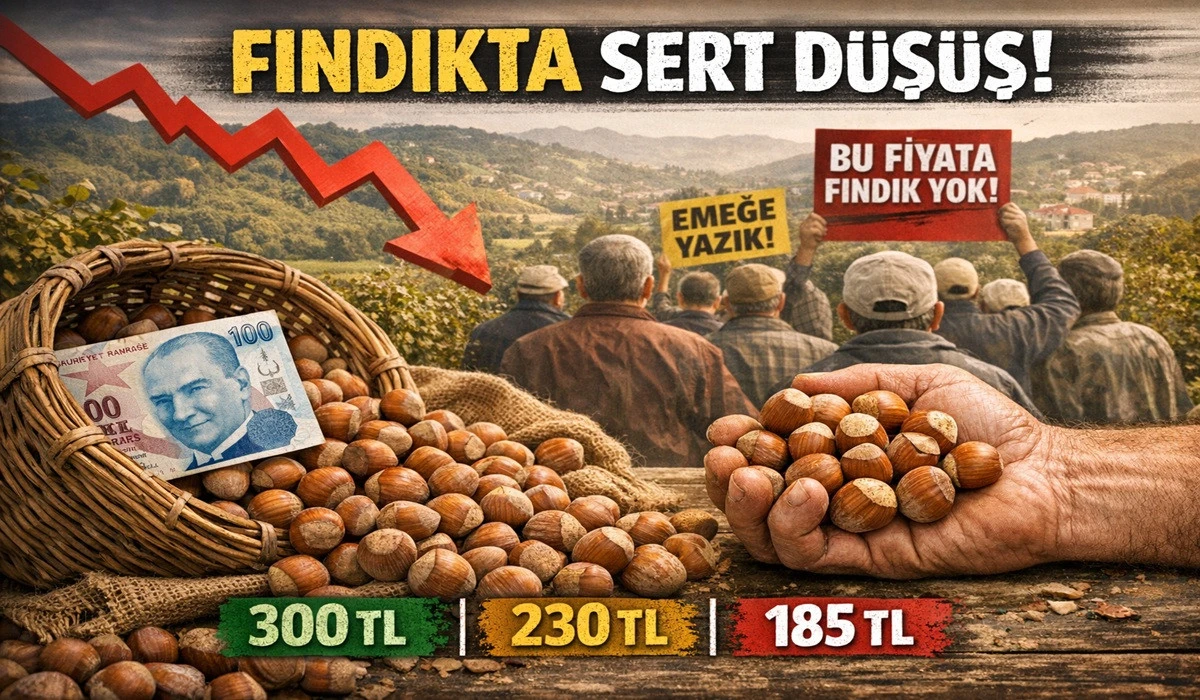 İşte Ordu'da 19 Nisan Pazar Fındık Fiyatı!