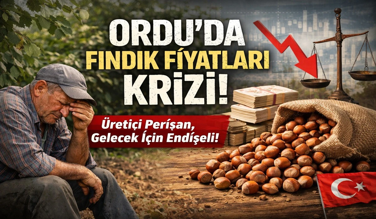 İşte Ordu'da 19 Temmuz Pazar Fındık Fiyatı!