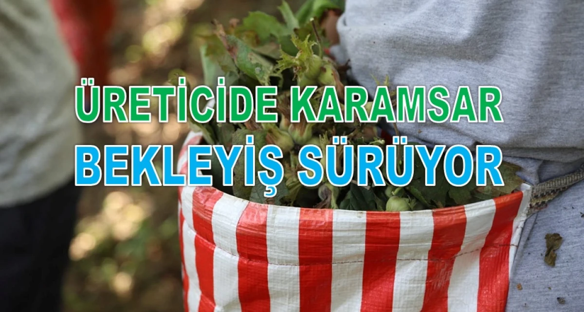 İşte Ordu'da 2 Şubat Pazartesi G&uuml;n&uuml; Fındık Fiyatı!