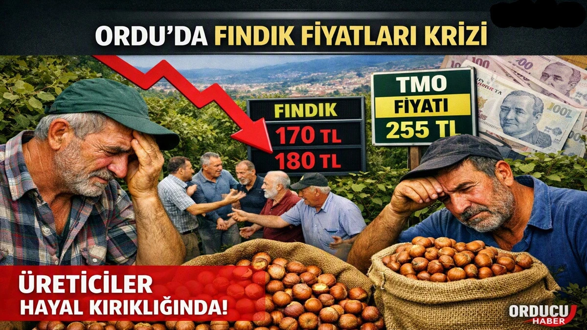 İşte Ordu'da 20 Ekim Salı G&uuml;n&uuml; İ&ccedil;in Fındık Fiyatı!