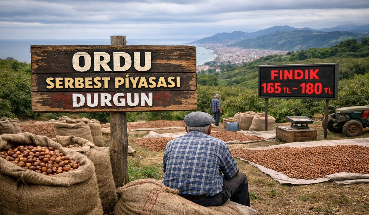İşte Ordu'da 20 Temmuz Pazartesi G&uuml;n&uuml; Fındık Fiyatı!