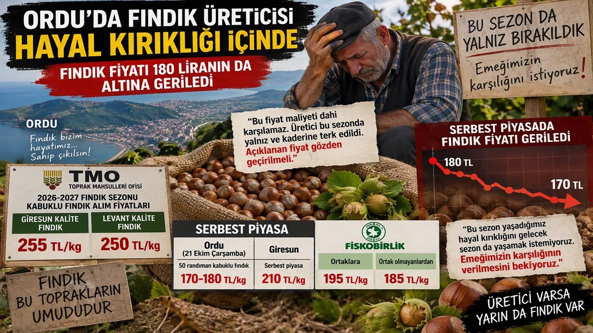 İşte Ordu'da 21 Ekim &Ccedil;arşamba Fındık Fiyatı!