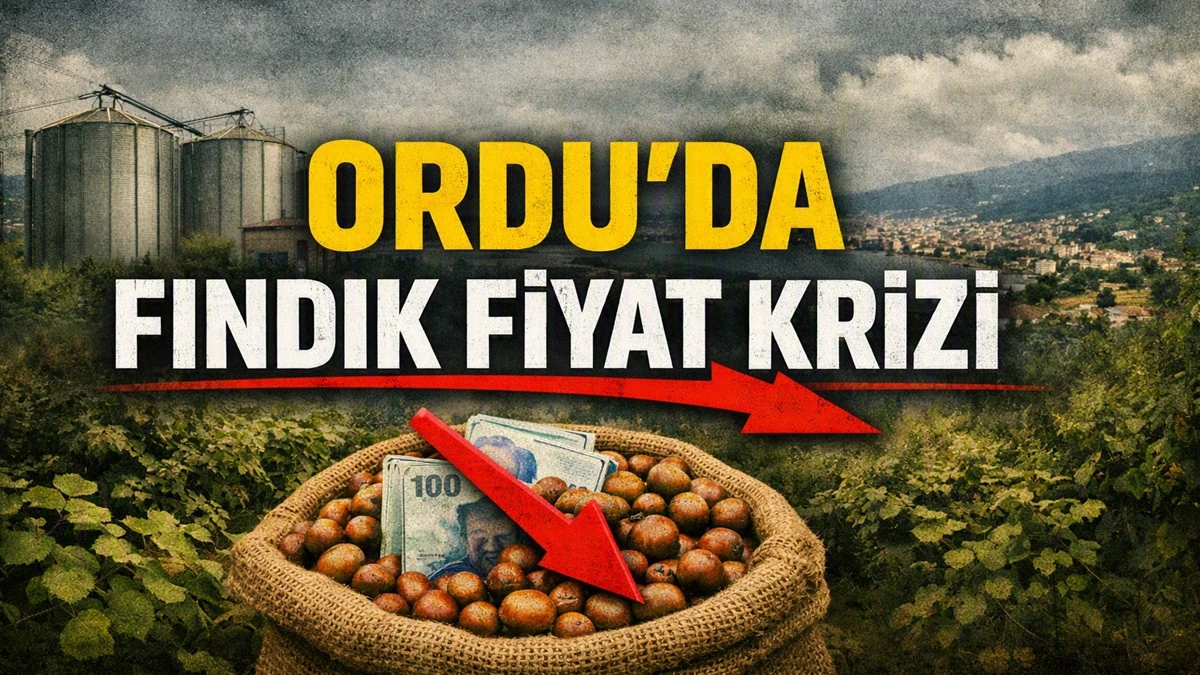 İşte Ordu'da 21 Eyl&uuml;l Pazartesi G&uuml;n&uuml; Fındık Fiyatı!