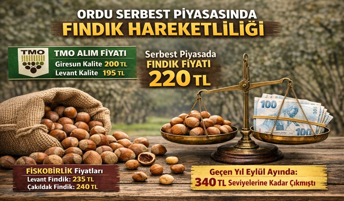 İşte Ordu'da 21 Mart Cumartesi Fındık Fiyatı!