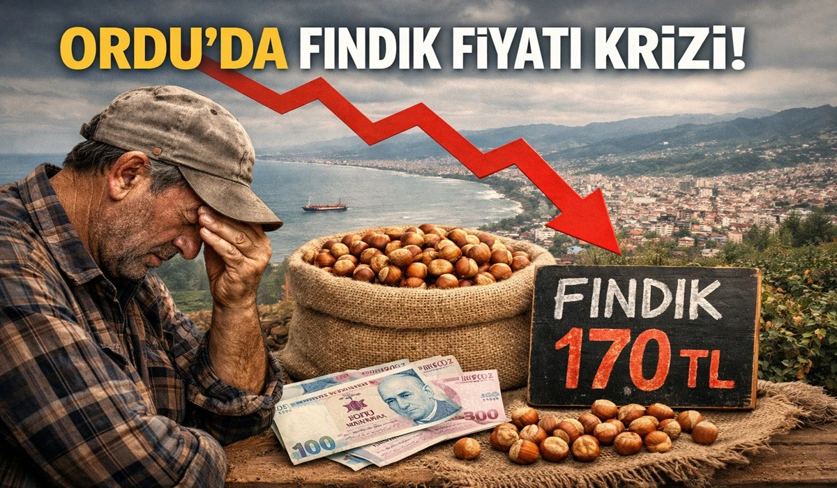 İşte Ordu'da 21 Mayıs Perşembe Fındık Fiyatı!