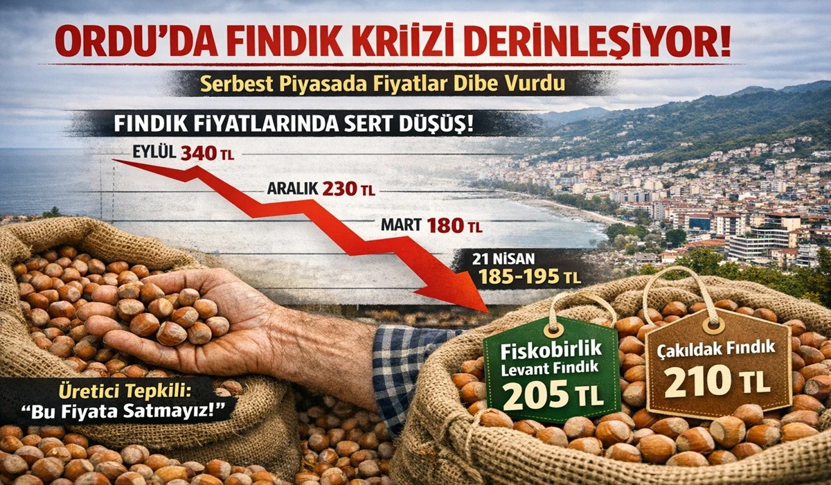 İşte Ordu'da 21 Nisan Salı G&uuml;n&uuml; Fındık Fiyatı! 