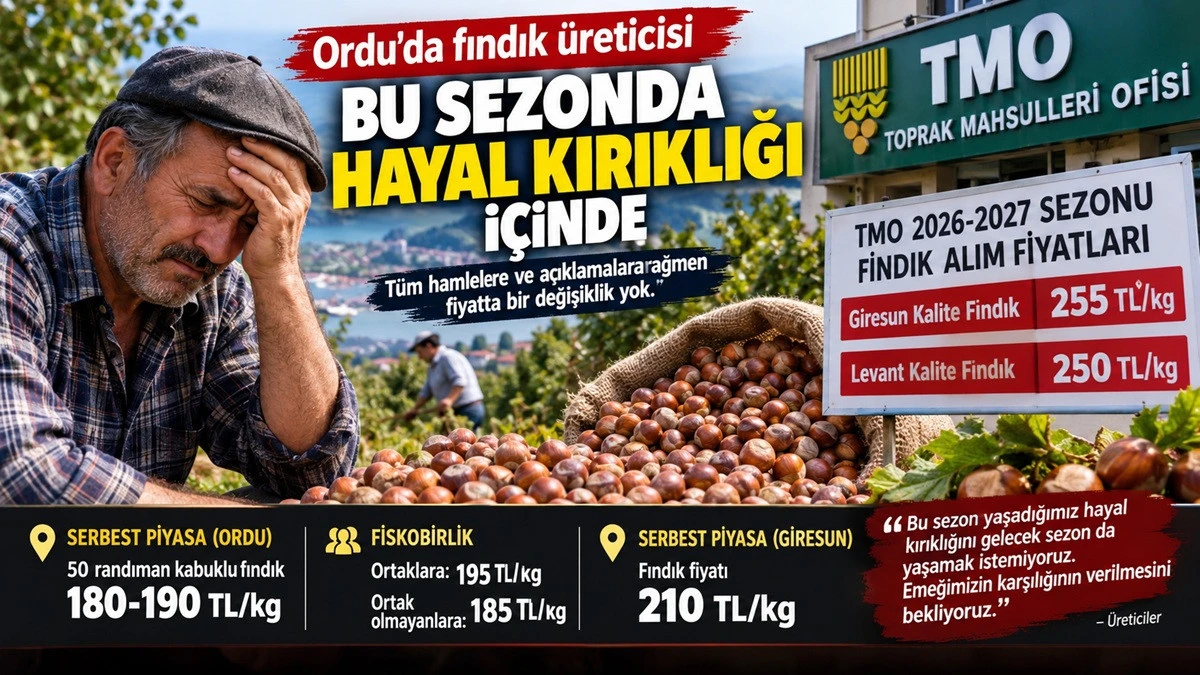 İşte Ordu'da 22 Eyl&uuml;l Salı Fındık Fiyatı!