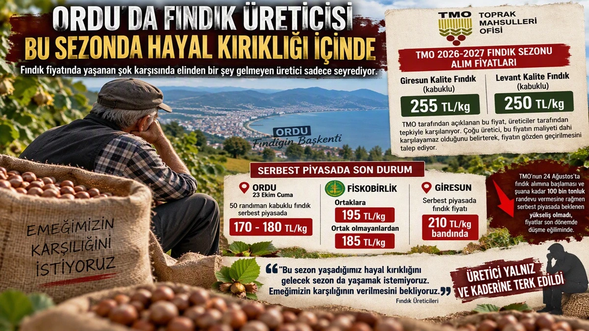 İşte Ordu'da 23 Ekim Cuma G&uuml;n&uuml; Fındık Fiyatı!