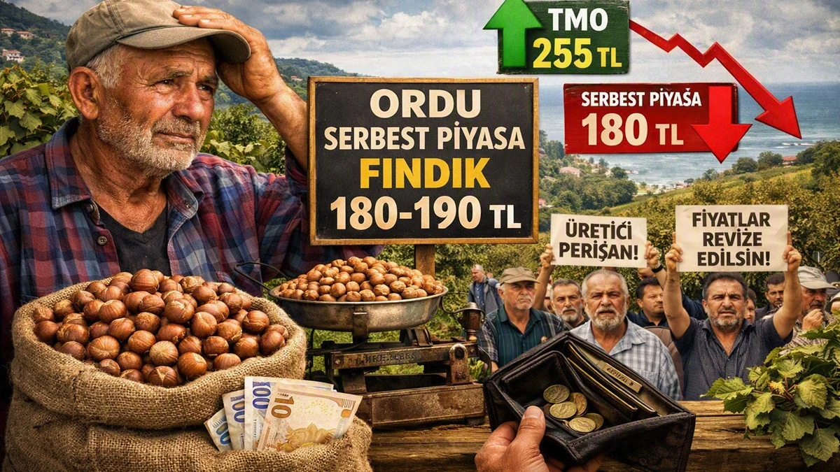 İşte Ordu'da 23 Eyl&uuml;l &Ccedil;arşamba Fındık Fiyatı!