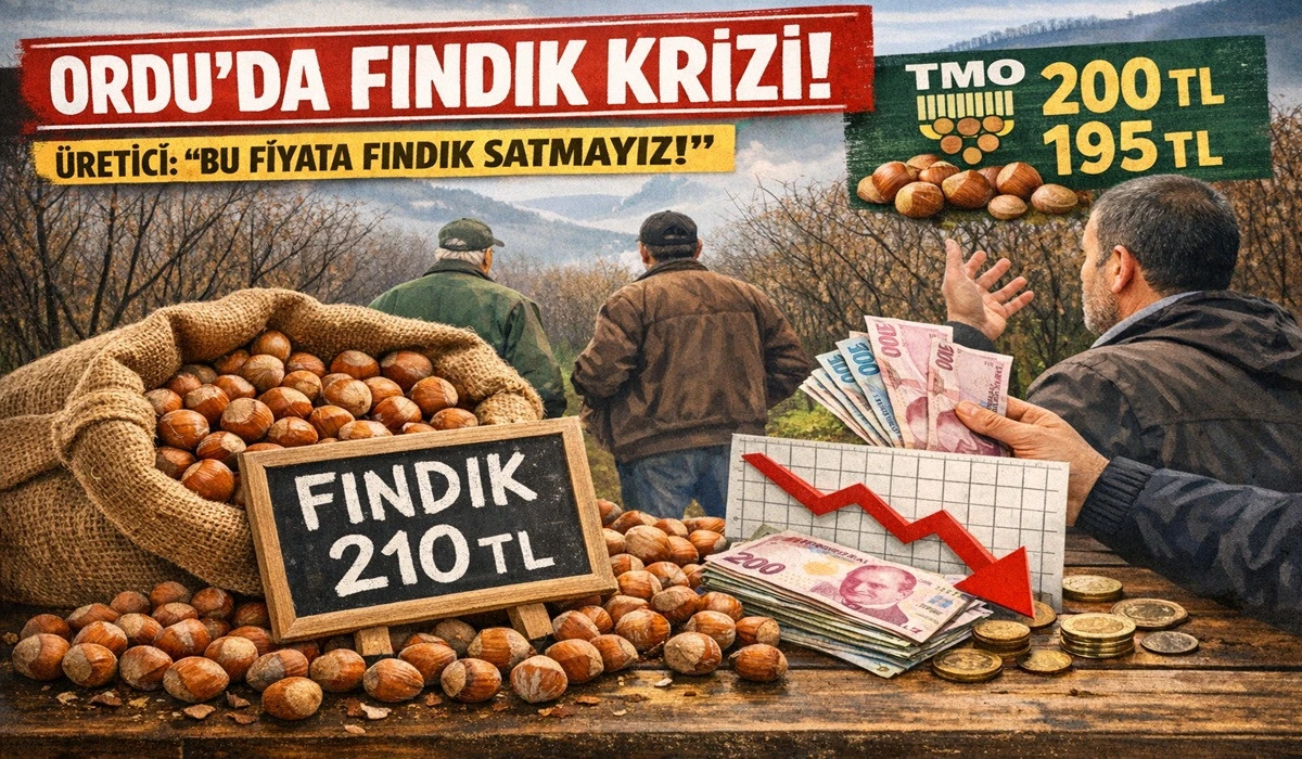 İşte Ordu'da 23 Mart Pazartesi Fındık Fiyatı! 