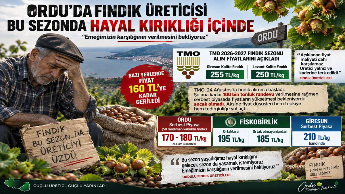 İşte Ordu'da 24 Ekim Cumartesi Fındık Fiyatı!