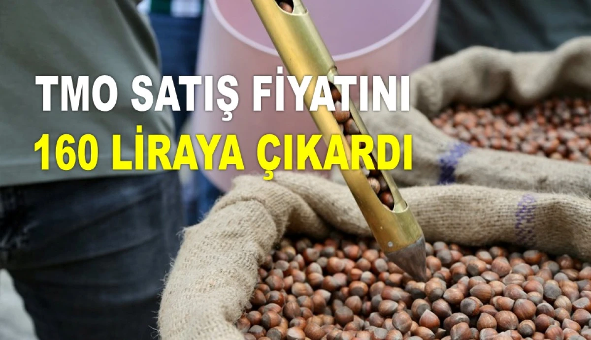 İŞTE ORDU'DA 24 HAZİRAN SALI FINDIK FİYATI