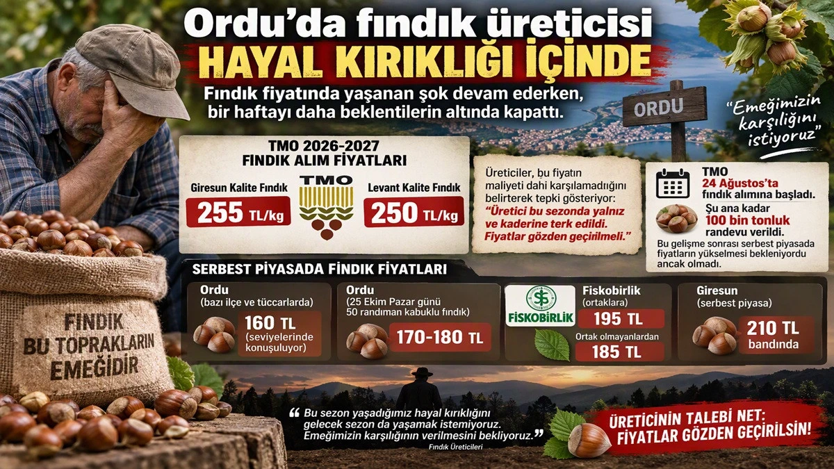 İşte Ordu'da 25 Ekim Pazar Fındık Fiyatı!
