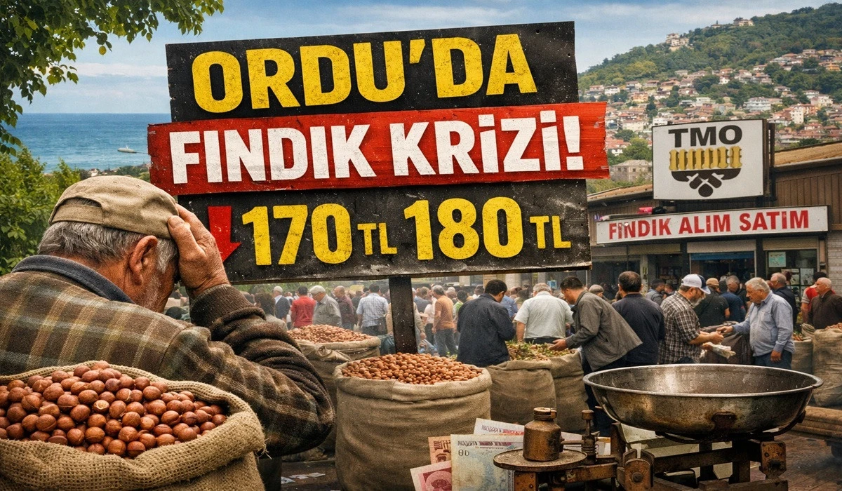 İşte Ordu'da 25 Mayıs Pazartesi Fındık Fiyatı!