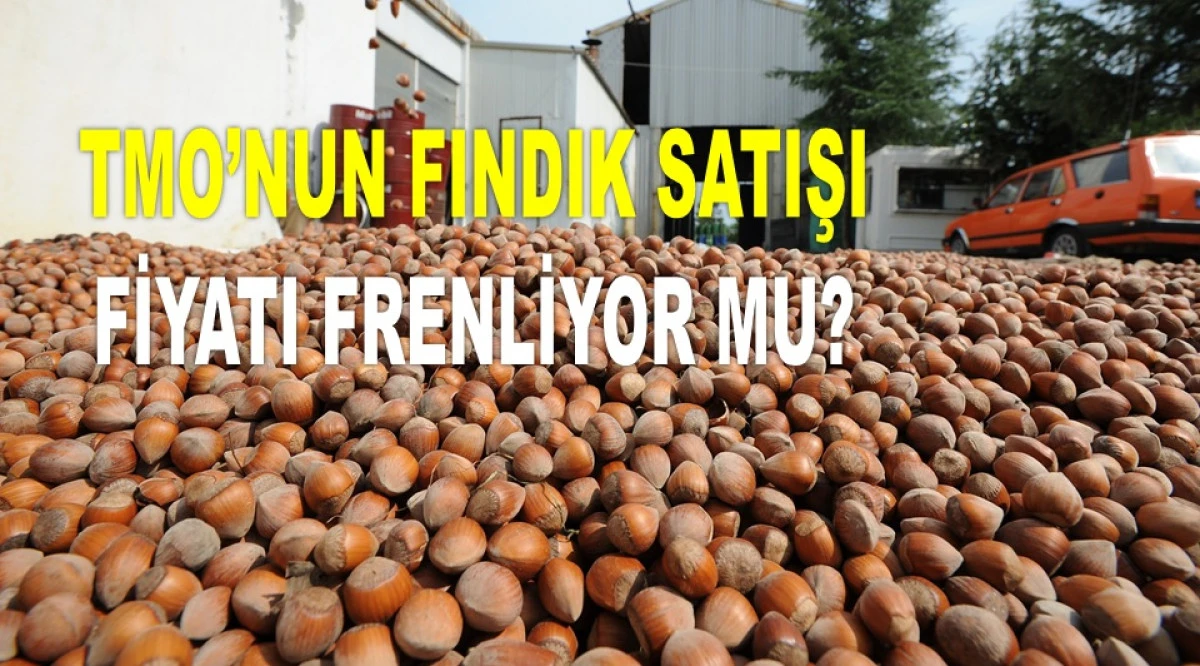 İŞTE ORDU'DA 25 NİSAN CUMA FINDIK FİYATI!