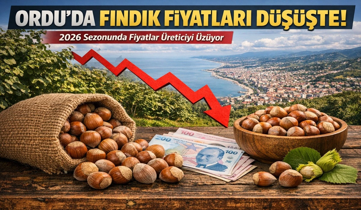 İşte Ordu'da 25 Nisan Cumartesi Fındık Fiyatı!