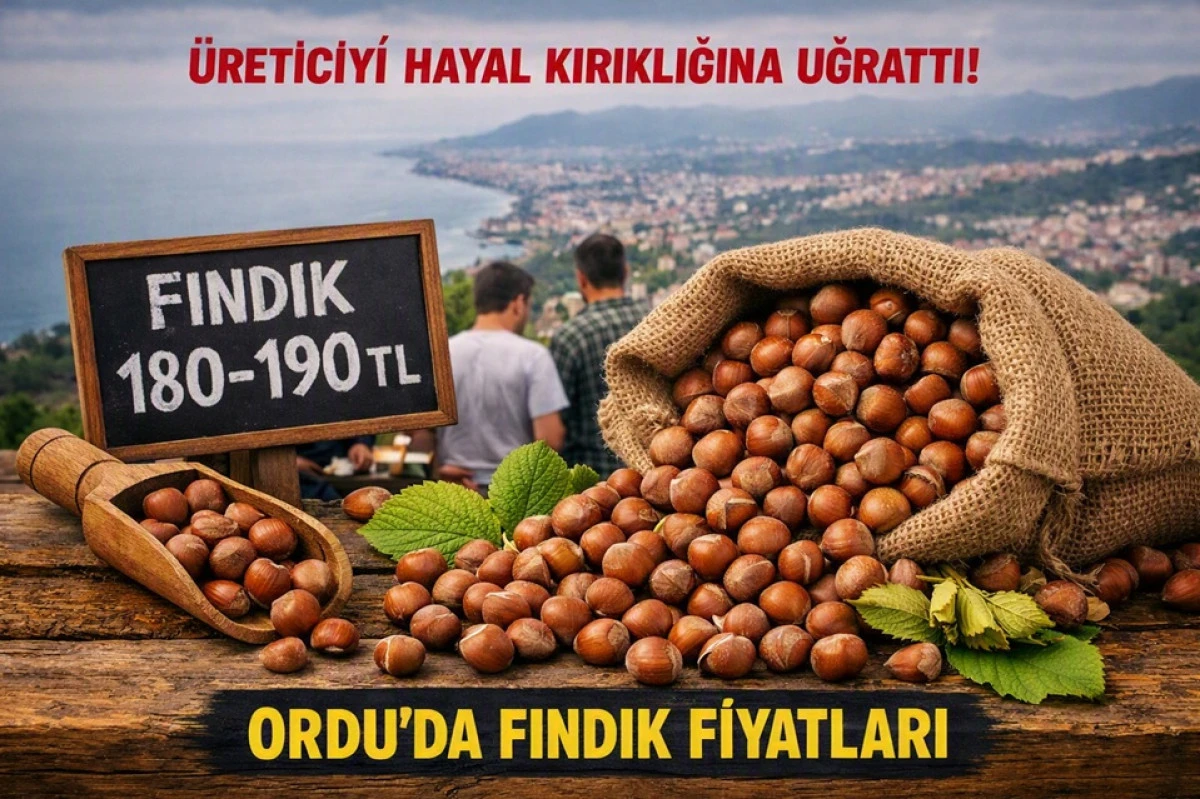 İşte Ordu'da 26 Ağustos &Ccedil;arşamba Fındık Fiyatı!