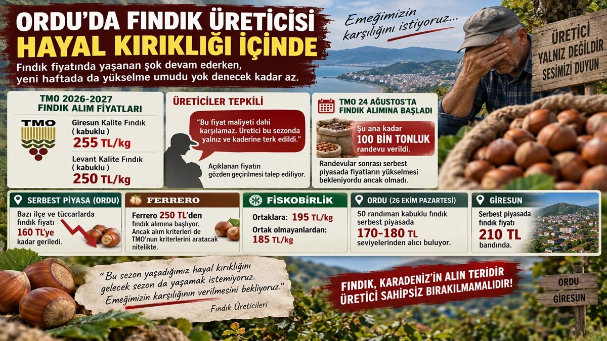 İşte Ordu'da 26 Ekim Pazartesi Fındık Fiyatı!