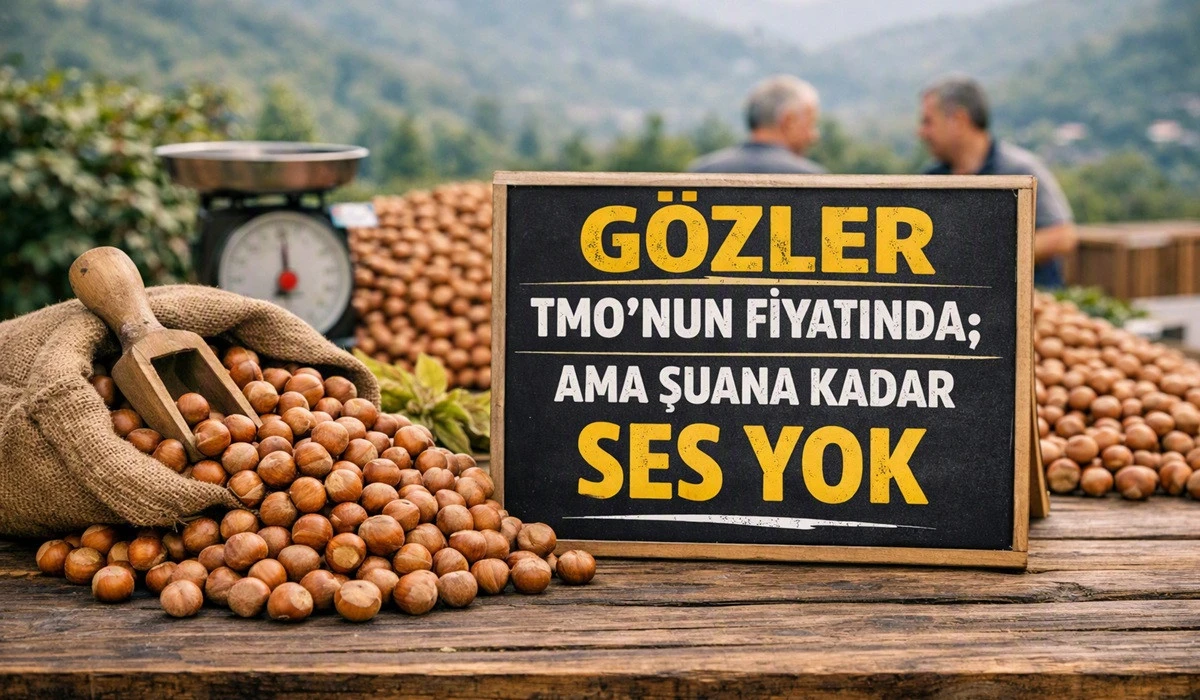 İşte Ordu'da 26 Temmuz Pazar Fındık Fiyatı!