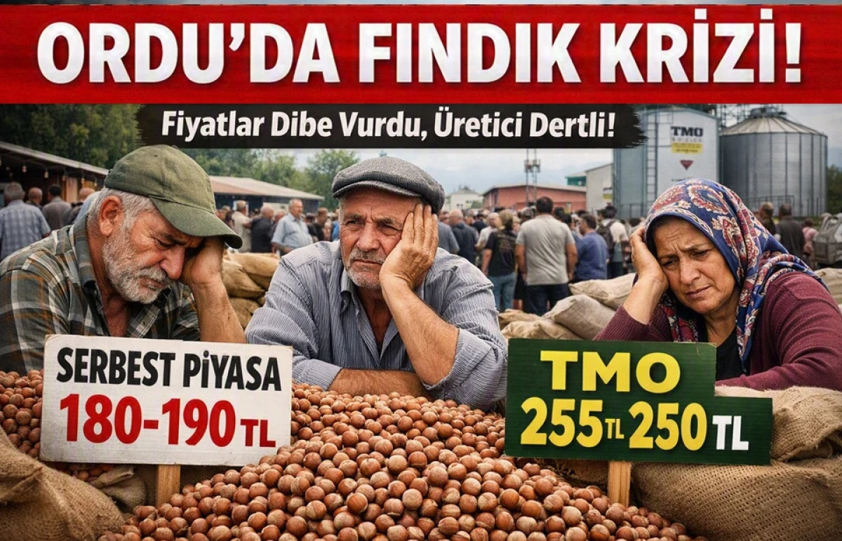 İşte Ordu'da 27 Ağustos Perşembe Fındık Fiyatı!