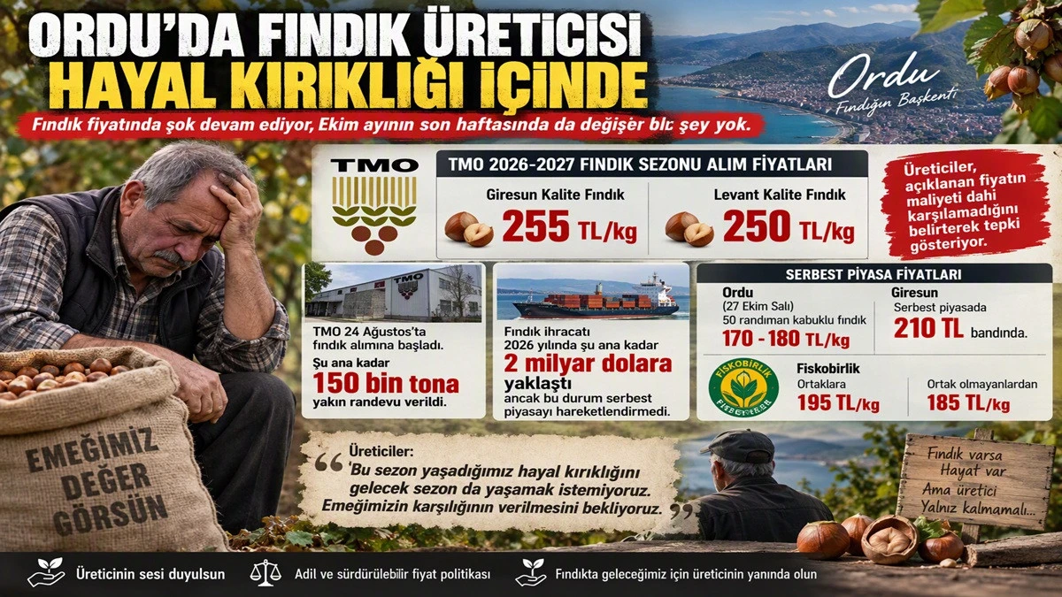 İşte Ordu'da 27 Ekim Salı G&uuml;n&uuml; Fındık Fiyatı