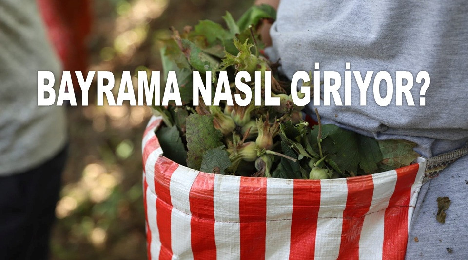 İŞTE ORDU'DA 28 MART CUMA GÜNÜ FINDIK FİYATI