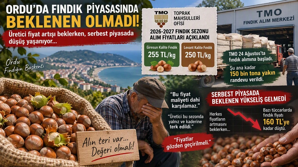 İşte Ordu'da 29 Ekim Perşembe G&uuml;n&uuml; Fındık Fiyatı!